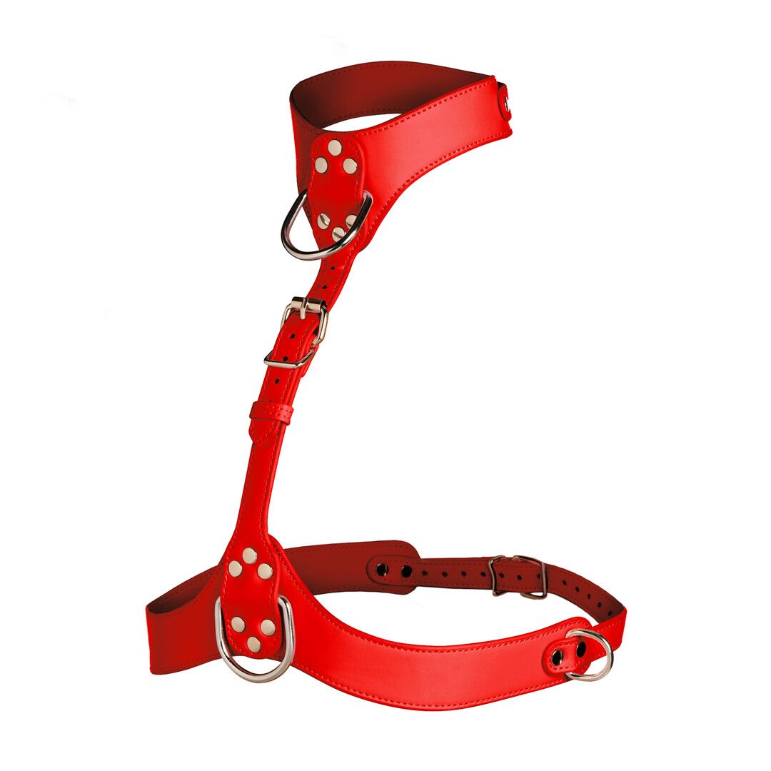 XR Brands Arnês de Torso Vixen com Coleira