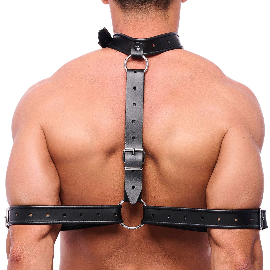 Red Leather Arm Bondage Necklace Collar