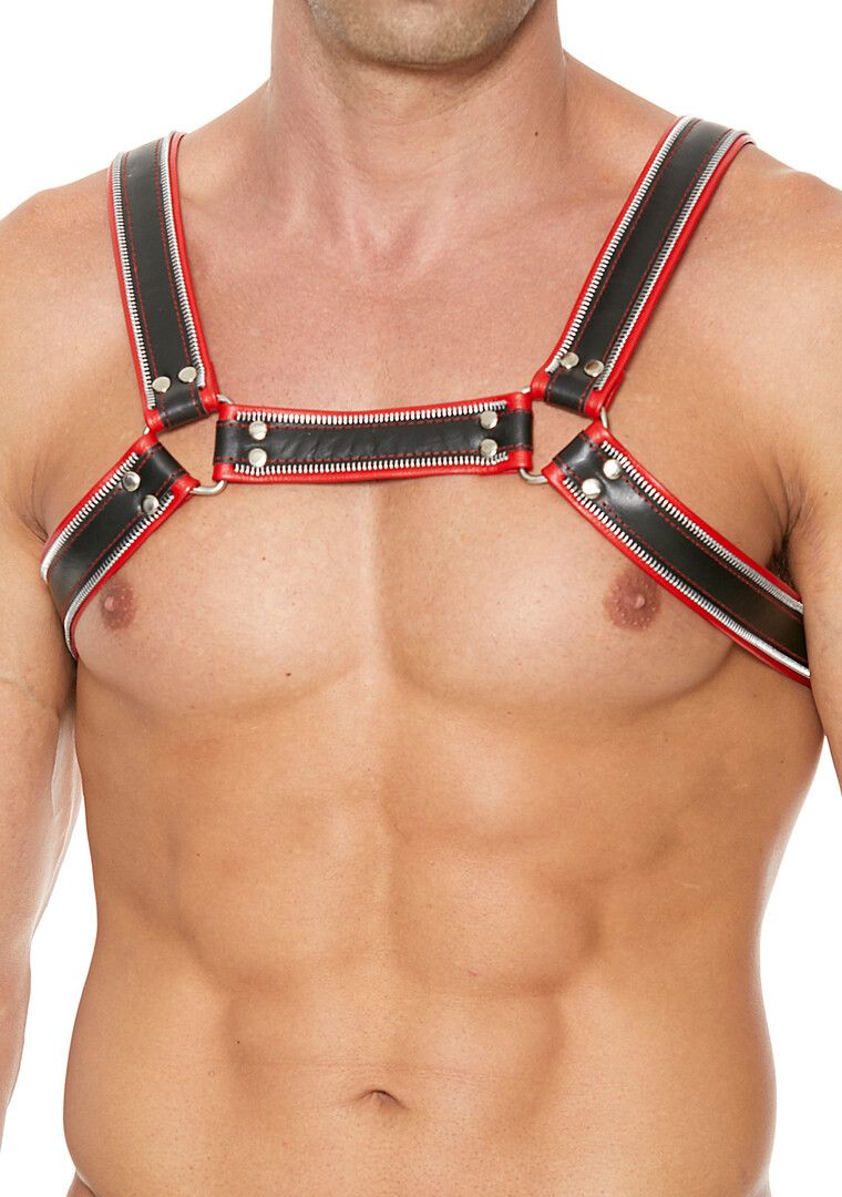 Ouch! by Shots Bulldog Harness Leather L/XL