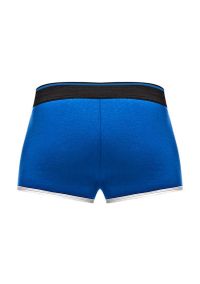 Male Power Retro Sport Majtki Krótkie Panel Bawełna, zdjęcie 11