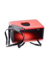 XR Brands Queening Chair Facesitting Furniture