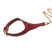 XR Brands Captivate Halsband med avtagbar kedjelina, bild 5