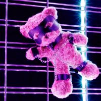 Crushious Crushito Bondage Teddy Gear, picture 5