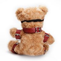 Crushious Crushito Bondage Teddy Gear, picture 8