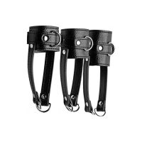 Conjunto Treino Ball Harness XR Brands, Três Tamanhos, imagem 3