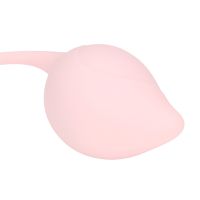 Loveline Pelvic Stem Kegel Kit Progressive, photo 5