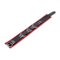 Naszyjnik skóra Red Leather z trzema akcentami D-ring, zdjęcie 2