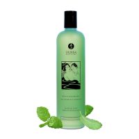 Gel Duche Sensual Hortelã Shunga 370 ml