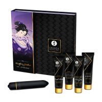 Shunga Naughty Geisha kit plaisir