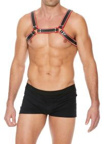 Ouch! by Shots Bulldog Harness Leather L/XL, picture 3