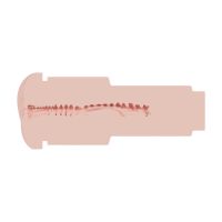 XKIN Metallix Ryder Analplugg Stroker 14,5 cm Röd, bild 6