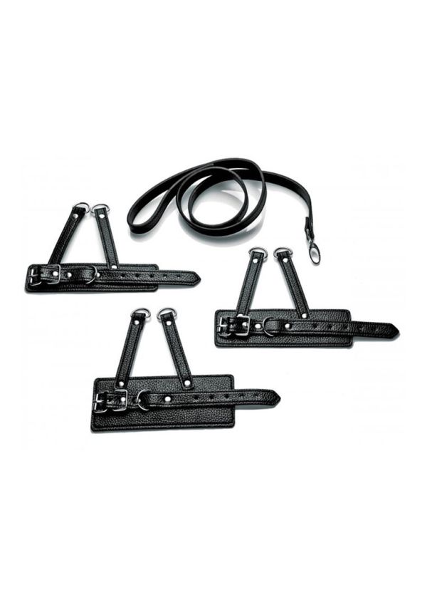 XR Brands Drei-Größe Ball-Harness Training Set