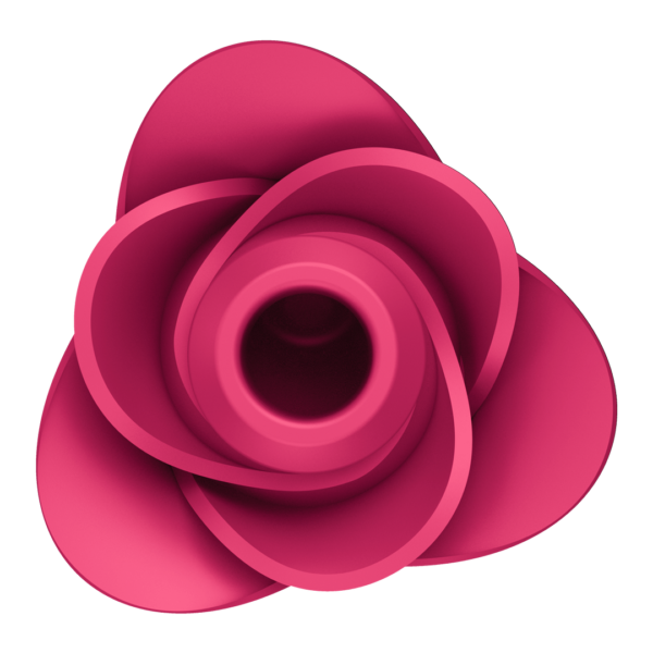 Pro 2 - Modern Rose - Image 5