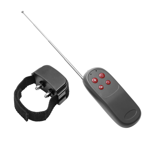 Cock Shock - Electro Stimulation Cockring with Remote Control - Image 3