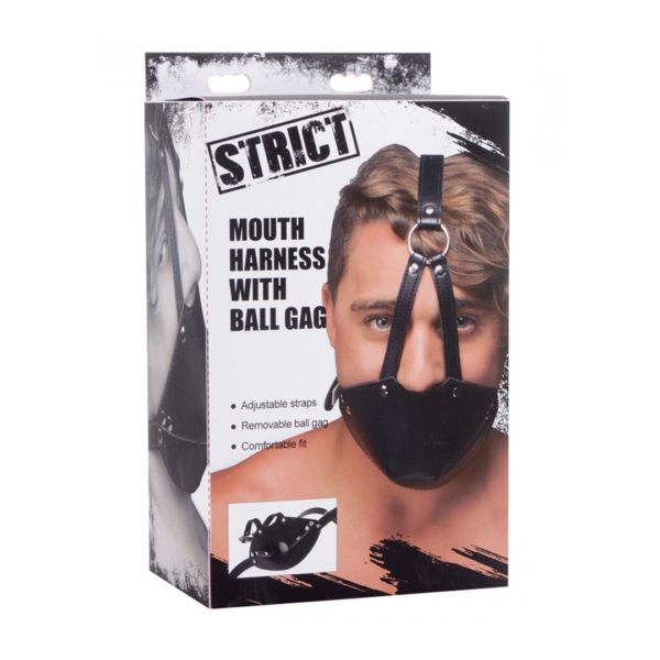 Mouth harness with Ball Gag - Image 2