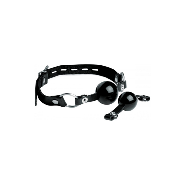 Interchangeable Silicone Ball Gag Set - Image 3