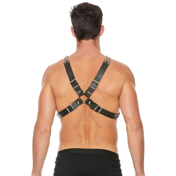 Chain and Chain Harness - Image 5