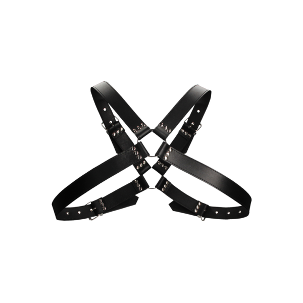 Leather Harness with Large Buckle - One Size - Image 4