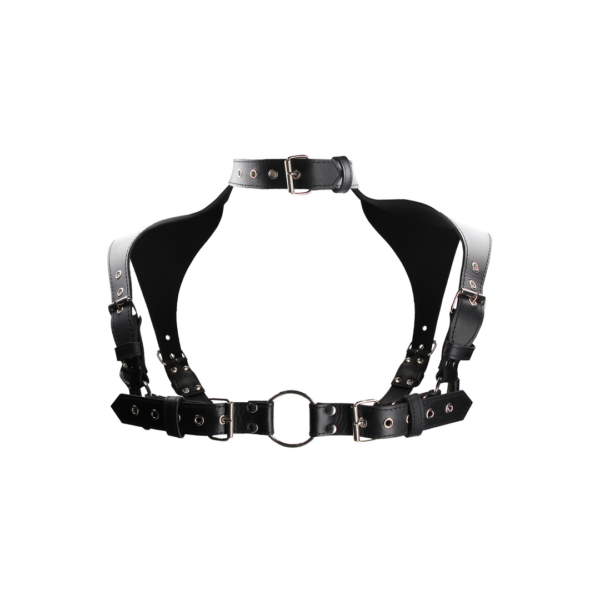 Men's Harness with Collar - One Size - Image 4