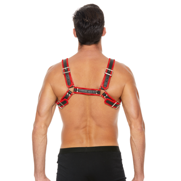 Leather Bulldog Harness with Buckles - S/M - Image 5