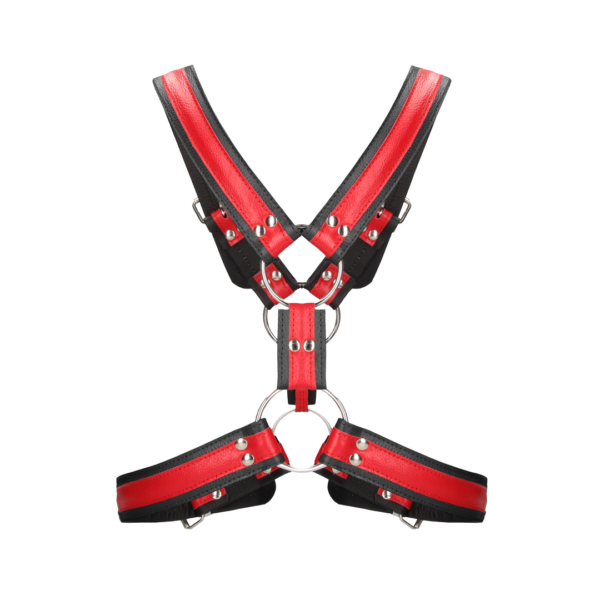 Scottish Leather Harness - L/XL - Image 4