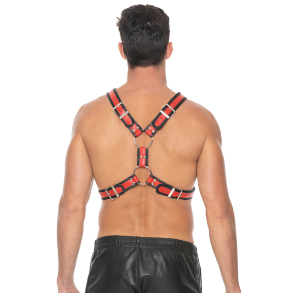 Scottish Leather Harness - L/XL - Image 5