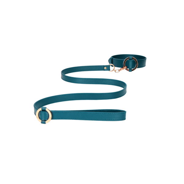 Luxurious Collar with Leash - Image 4