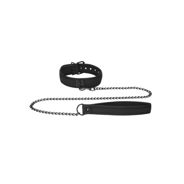 Neoprene Collar with Leash - Image 4