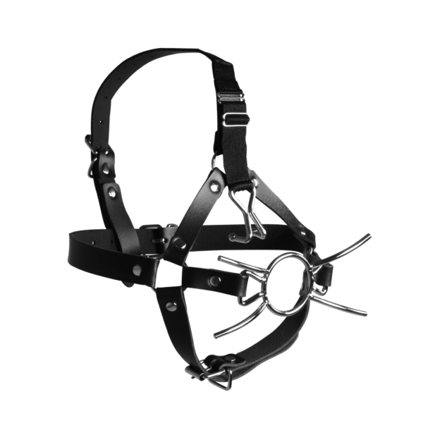 Head Harness with Spider Gag and Nose Hooks - Black - Image 4