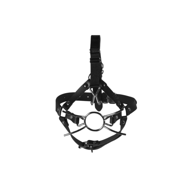 Head Harness with Spider Gag and Nose Hooks - Black - Image 5