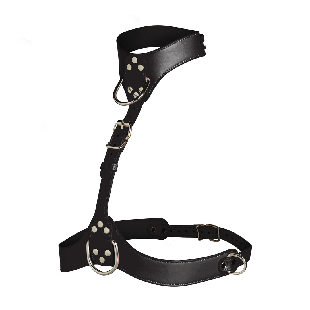 Vixen - Female Chest Harness - Black