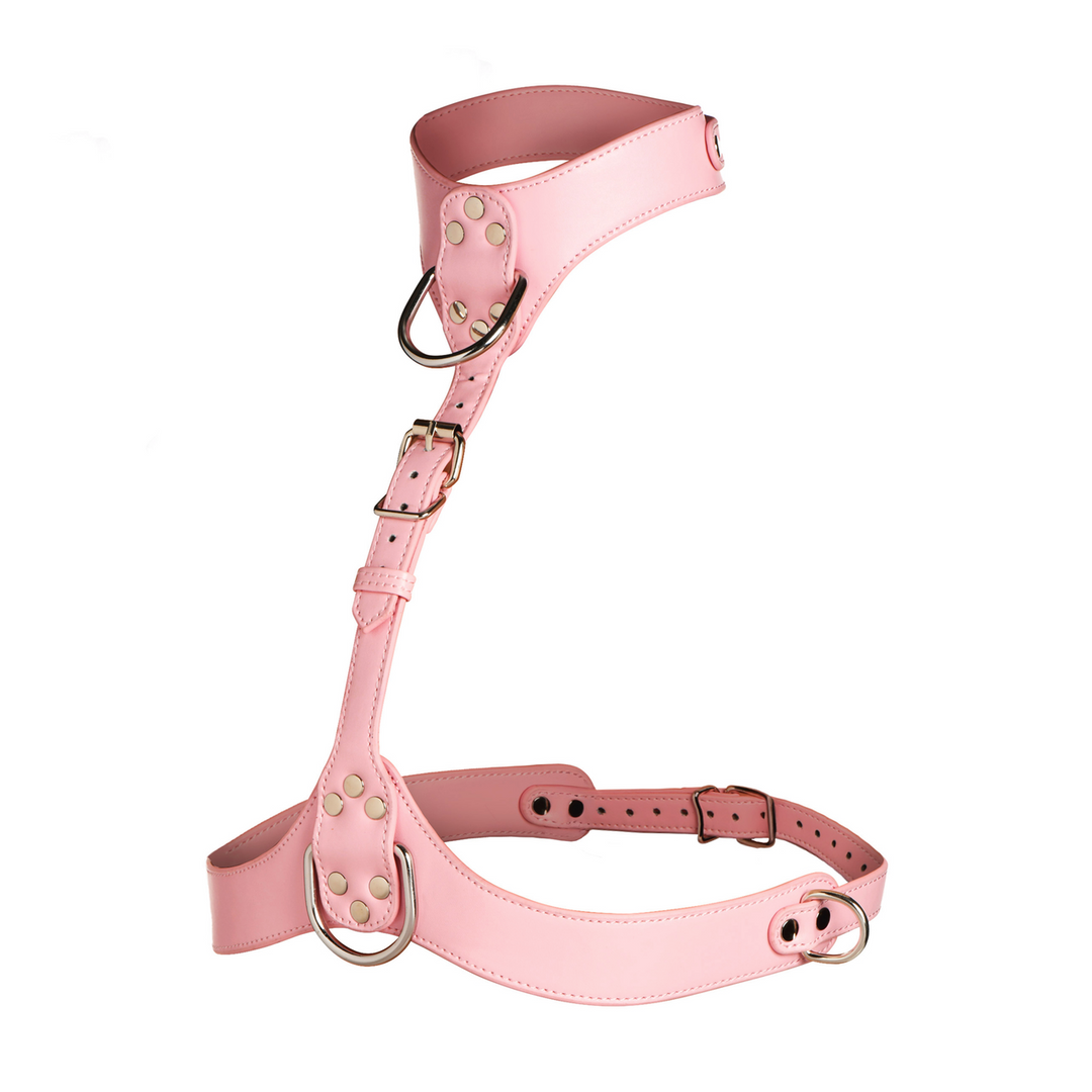 Vixen - Female Chest Harness - Pink