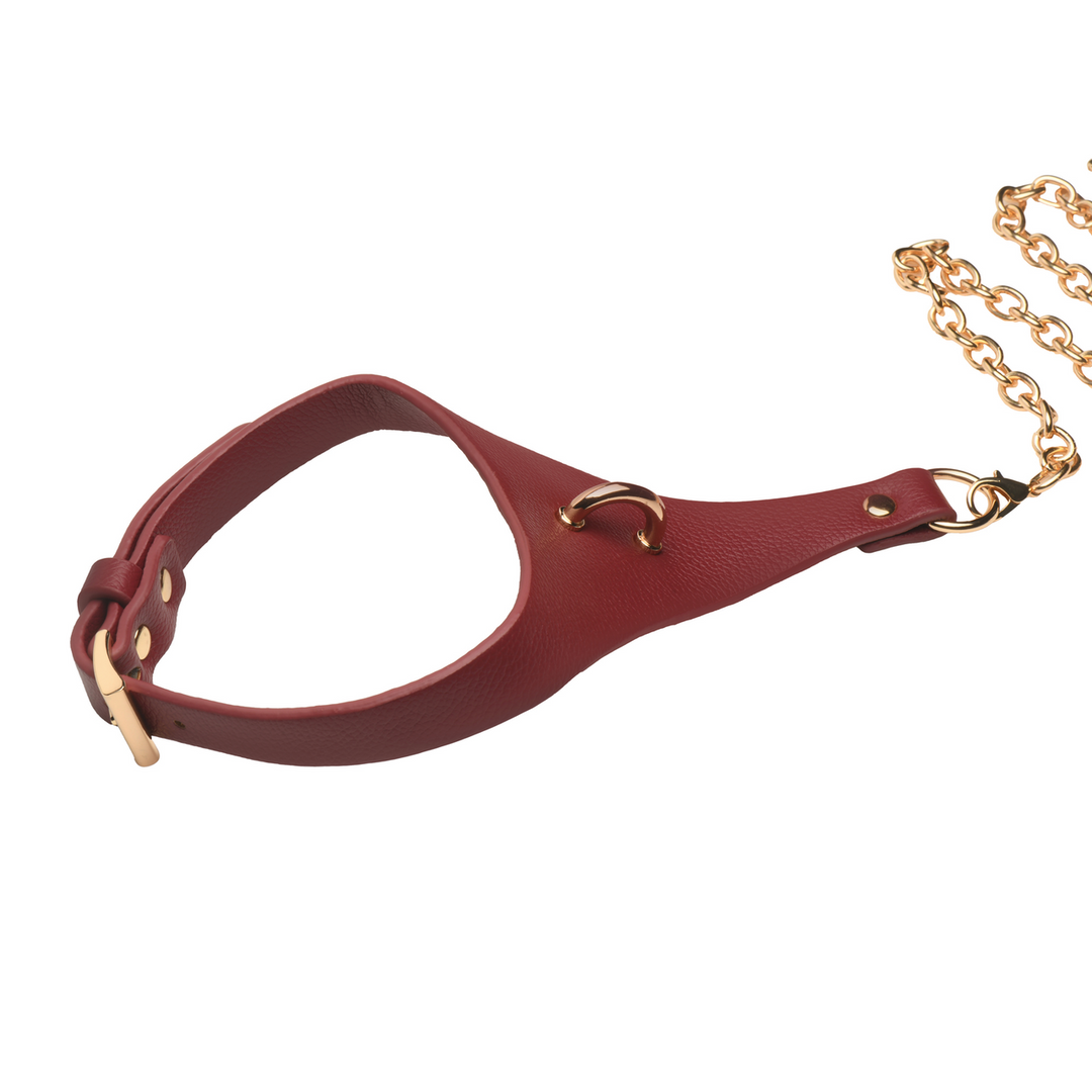 Captivate - Collar with Body Chain - Red/Golden 4 Captivate - Collar with Body Chain - Red/Golden - Image 4