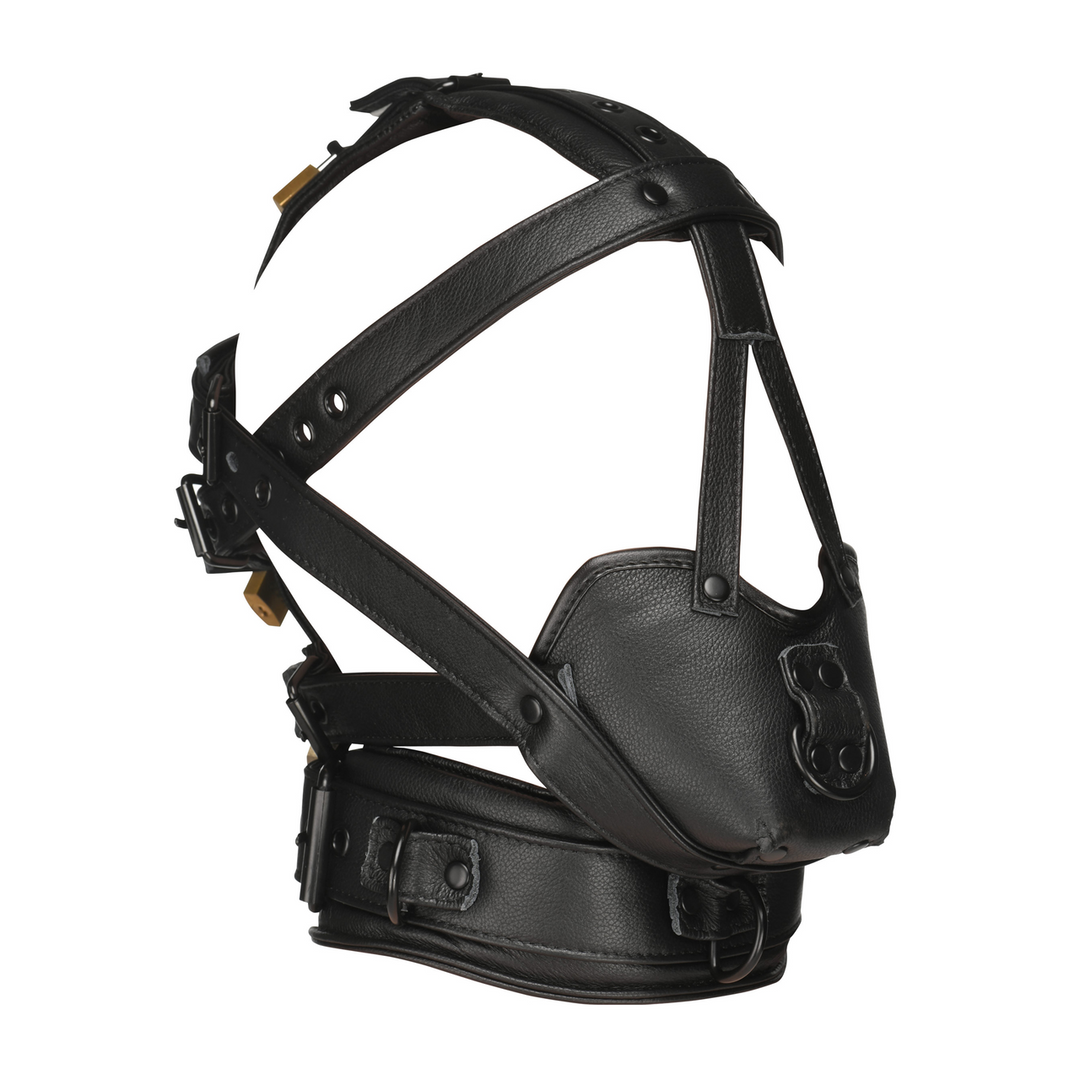 Leather Head Harness with Muzzle - Black