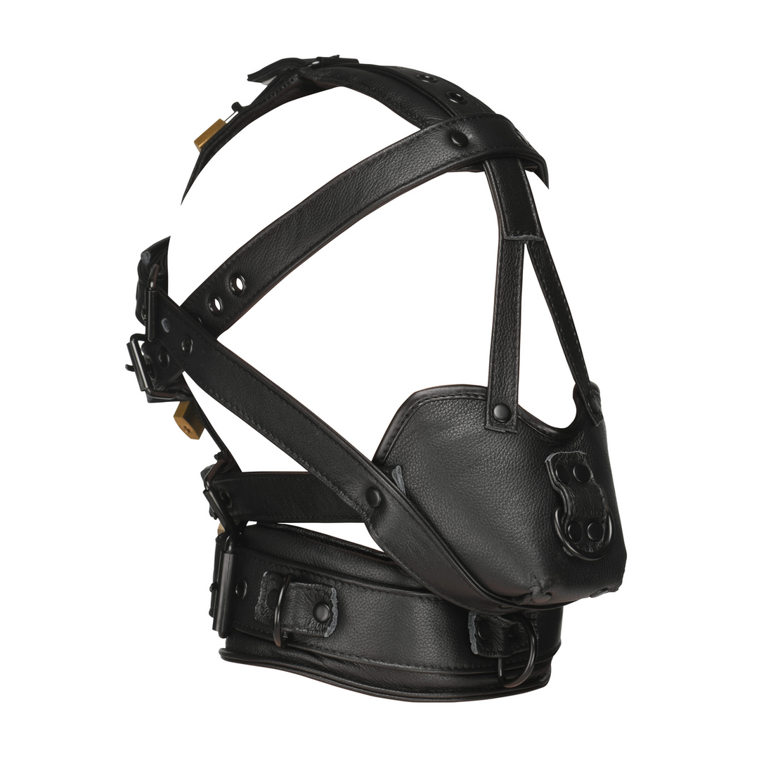 Lockable Head Harness with Muzzle - Black