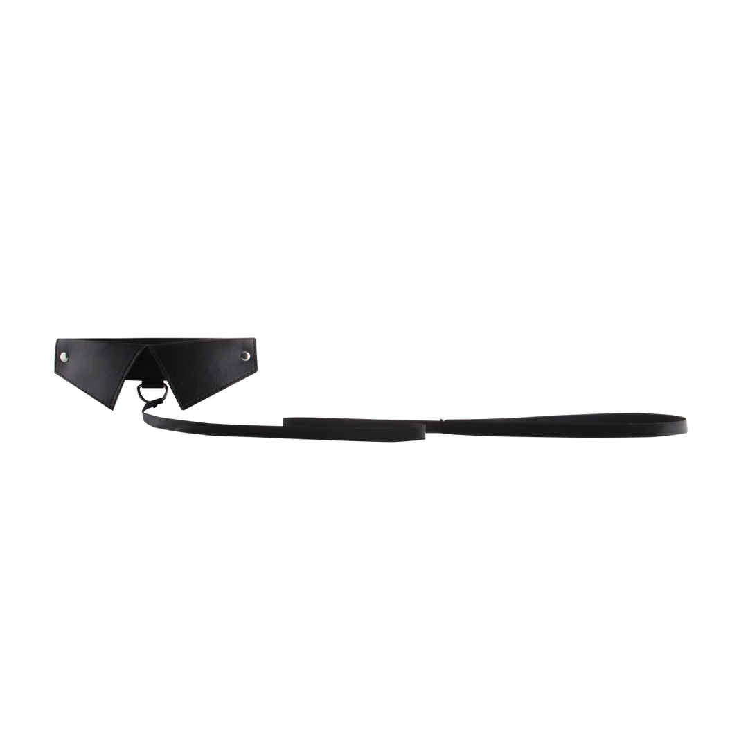 Exclusive Collar Leash
